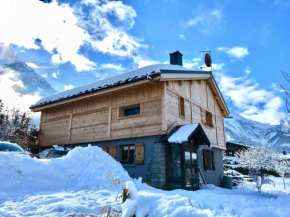 Chalet familial 8 personnes - Chamonix
